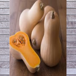 SBJEI-FRESH SQUASH